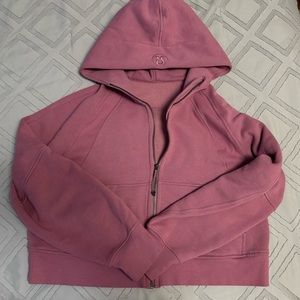 Scuba full zip in velvet dust